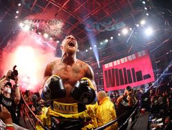 фото - Добро пожаловать в бокс. Стриминг Triller несёт финансовые потери