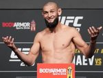 Нурмагомедов подрался с Чимаевым возле клетки на UFC 280 — видео