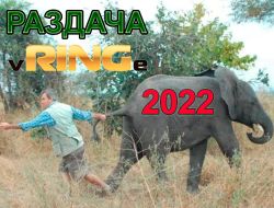 фото - Итоги 2022 года в боксе от vRINGe.com