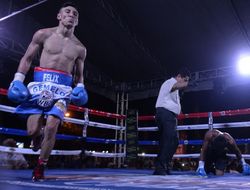 фото - С третьей попытки: Феликс Альварадо — чемпион мира