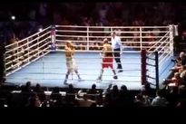 Видео боя: Рой Джонс – Пол Васкес