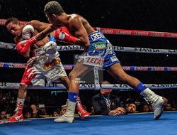 фото - Роман Гонсалес и Хуан Франсиско Эстрада договариваются о реванше — СМИ