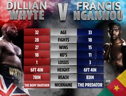 фото - Хирн предлагает устроить два боя между Уайтом и Нганну — в боксе и в ММА