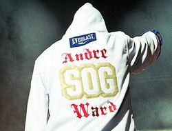 фото - Андре Уорд вернётся в бою с Томми Вестхайзеном?