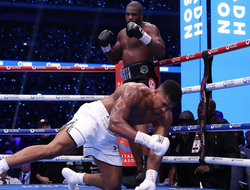 фото - У Дюбуа и Джошуа есть дедлайн — правило IBF