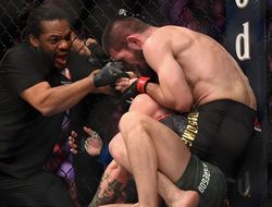 фото - Штраф и полгода дисквалификации. Минимум, что грозит Хабибу