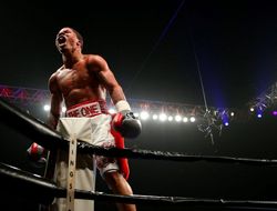 фото - Вы будете в восторге — в Showtime объявили бои на вторую половину года