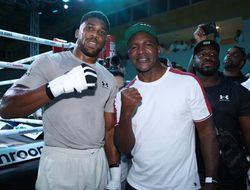 фото - Холифилд: «Джошуа обращался за советом в преддверии боя с Кличко»