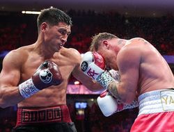 фото - Хирн: «Канело сильно рискует, настаивая на реванше с Биволом»