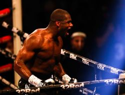 фото - Дюбуа принял бой с Усиком. Обещает нокаутировать украинца