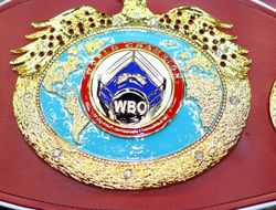 фото - Обновился рейтинг WBO: Усик на 2-й позиции, Жанибек в суперсреднем весе 