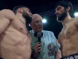 фото - Михалушко перебил Петросяна в яркой драке