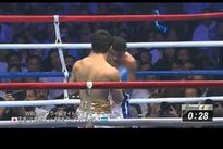 Видео боя: Роман Гонсалес – Акира Яэгаши