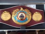 Турнир за титул WBO в полутяжах: полуфиналы Рамирес–Альварес и Саламов–Власов