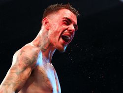 фото - У Камбососа вскоре появится новый претендент — WBA в своём стиле