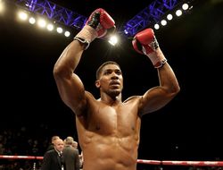 фото - Джошуа уничтожил Мартина