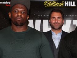 фото - Браун — о Уайте: Он известен только лишь тем, что его нокаутировал Джошуа