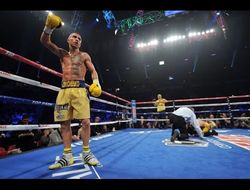 фото - Василий Ломаченко — Мигель Марриага: видео нокдаунов