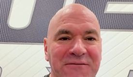 Это прикол такой? Вакантный титул IBF будет разыгран в шоу Zuffa Boxing