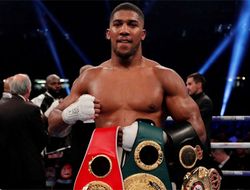 фото - Договорённостей с Хантером нет, возможно, это будет Ортис — промоутер Джошуа