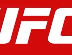 фото - Обновлённая система рейтингов UFC – мнения бойцов и экспертов