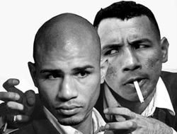 фото - (Превью) Представление боя Мигеля Котто и Рикардо Майорги