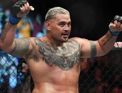 фото - Марку Ханту разрешили продолжить карьеру, он хочет бой с Вердумом