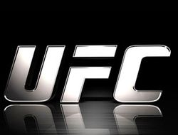 фото - (ММА) UFC: итоги 2012 года в цифрах (+ видео лучшего нокаута)