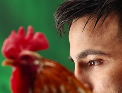 фото - Карденас заменит Ахмадалиева? Экс-оппонент Иноуэ получит ещё один титульный шанс