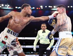фото - Не Ломаченко. Экс-чемпион о сопернике Хэйни после реванша с Камбососом