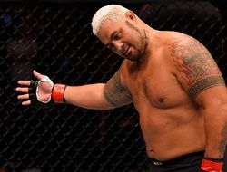 фото - UFC: Марк Хант нокаутировал Фрэнка Мира