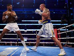 фото - А вдруг Джошуа и Усик когда-нибудь проведут третий бой — промоутер