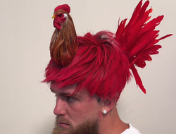 фото - Пол вышел на открытую тренировку с петухом на голове: видео