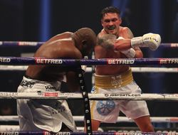 фото - Хирн: «Сделали Усику честное предложение. Джошуа его не боится»