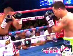 фото - Семь нокдаунов: «Петух» Эстрада извалял и нокаутировал Маркеса