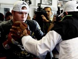 фото - Команда Альвареса: «С Мэйуэзером деремся в сентябре, все договорено»