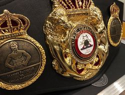 фото - Жизнь после Тейлора. В WBA решили, что делать с титулом в суперлёгком весе