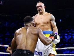 фото - Усик – Джошуа 2. Статистика ударов боя-реванша