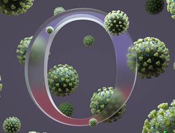 фото - Первые жертвы омикрона. Бои Головкин–Мурата и Анкахас–Иока отменены