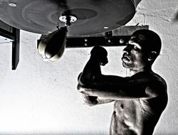 фото - Мигель Котто улетает на «дежурную» подготовку к Фредди Роачу