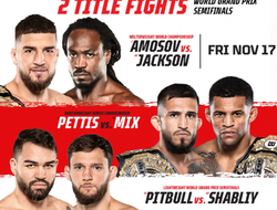 фото - Bellator 301: Амосов – Джексон. Результаты из Чикаго