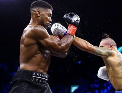 фото - Канело готов драться с Усиком, рассуждал о победе украинца над Джошуа и шансах против Фьюри