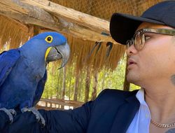 фото - Кадр дня. Невероятная история Маркоса Майданы — фото нынешней формы ветерана