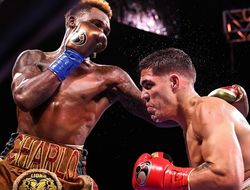 фото - Как Чарло нокаутировал Кастаньо: видео