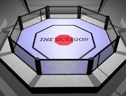 фото - (Пресс-клуб) ММА. Самые ожидаемые бои 2012 года