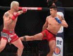 Bellator 156: Дантас вернул титул, разгромив Галвао