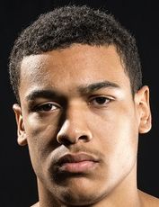 Вилкенс Матьё