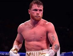 фото - Бивол спустится к Канело на реванш, а потом сразится с Бетербиевым? Расклад от Хирна