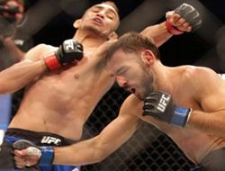 фото - Все результаты и бонусы UFC Fight Night 91: Линекер ярко нокаутировал Макдональда