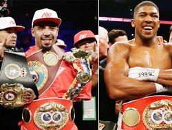 фото - Энтони Джошуа в следующем поединке может встретиться с Андре Уордом